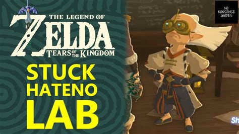 testing sensor tears of the kingdom|zelda tears of the kingdom sensor.